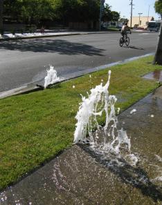 Sprinkler head in damaged by unregulated water pressure
